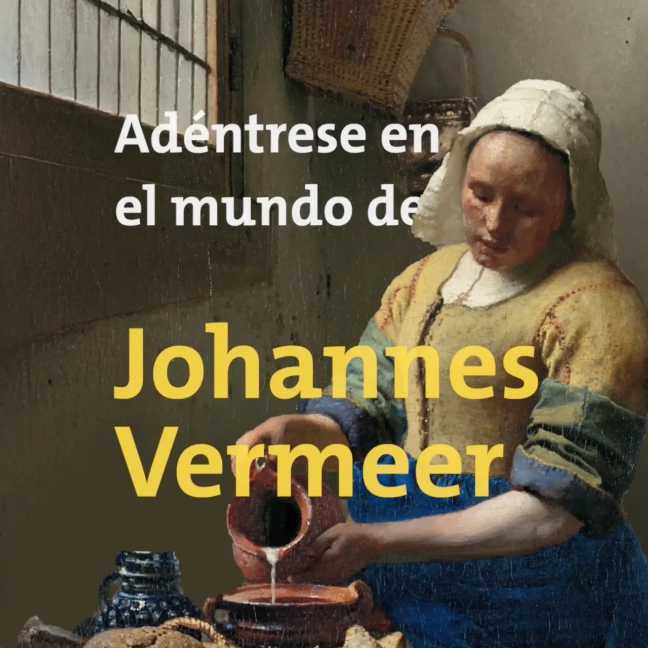 Vermeer Centrum Delft